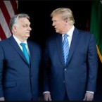 Венгрия получила от США освобождение от санкций по поставкам нефти из РФ