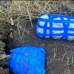 Мэр Кишинева: Наркомания вышла из-под контроля 