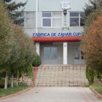 Купчинский сахарный завод на грани закрытия
