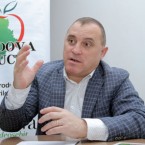 Директор ассоциации Moldova Fruct об уменьшении площади яблоневых садов: Это нормально