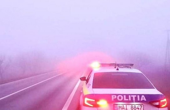 {Убийство в Березках: полиция утверждает, что убитых скармливали свиньям} Молдавские Ведомости