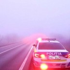 Убийство в Березках: полиция утверждает, что убитых скармливали свиньям