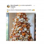 Елена Драгалин: "Perciun Fericit si Bostaniada prospera in 2026!" 