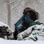 Кишиневцев призывают сообщать властям о бездомных 