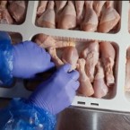 Запрет на импорт куриного мяса из Украины в Молдову: производители и импортёры не согласны 