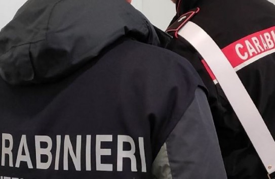 {Более 20 молдаван, включая 8 детей, подвергались эксплуатации на складе в Италии} Молдавские Ведомости