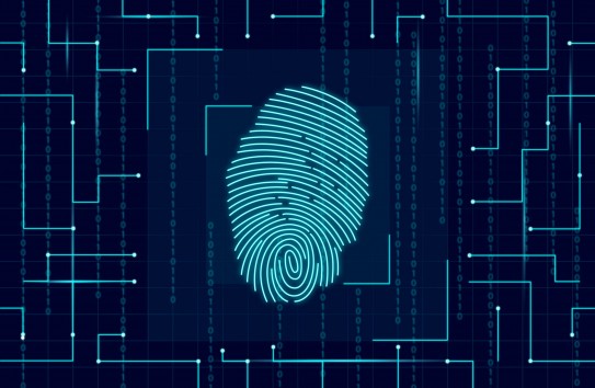 {Правительство передает Молдову под цифровой контроль ЕС} Молдавские Ведомости