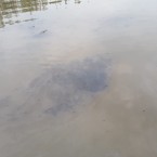 Вода в Днестре: что происходит