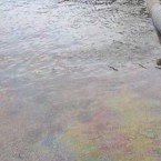 Так что же всё-таки загрязнило Днестр? 