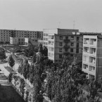 Самый молодой город Приднестровья 