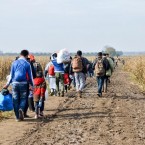 В Европе ликвидирована сеть торговли людьми, которая перевезла 100 тысяч мигрантов