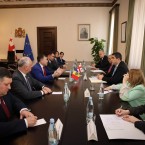 Политическая кукуруза объявила когнитивную войну Грузии 