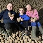 Бесплатно раздают на Пасху картофель