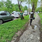 В столице начинается обработка зеленых зон против клещей