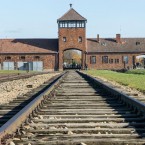 Наказание для полицейского - посетить концлагерь Аушвиц