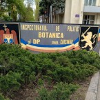 Проверка активов главы отдела уголовной полиции инспектората Ботаники 
