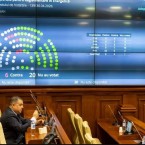 Назначение директора НАРЭ вызвало шквал критики от оппозиции