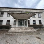 В Кетросу произошла массовая вырубка уникальных деревьев на дрова
