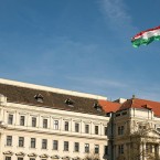 Правительство Венгрии вводит запрет на импорт сельхозпродукции из Украины