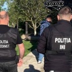 Семеро задержаны по делу о незаконной вырубке леса в Единцах 