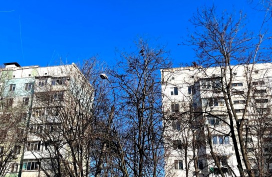 {Большинство ипотечных кредитов выдано на квартиры в Кишиневе} Молдавские Ведомости