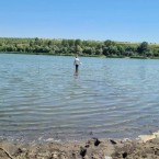 Расследуется причина гибели рыбы в Данченском озере