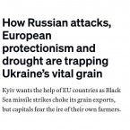 Зерновой экспорт Украины блокирует не только Россия, но и Европа