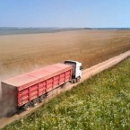Польша и Румыния отказались расширять транзит украинского зерна 