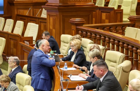 {Социалисты предлагают приостановить приватизацию и сократить расходы} Молдавские Ведомости